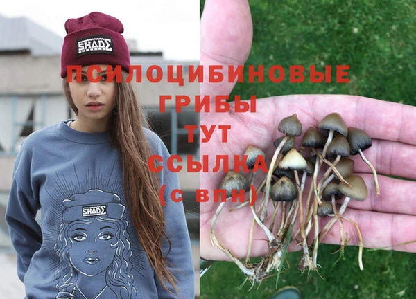 2c-b Каменногорск