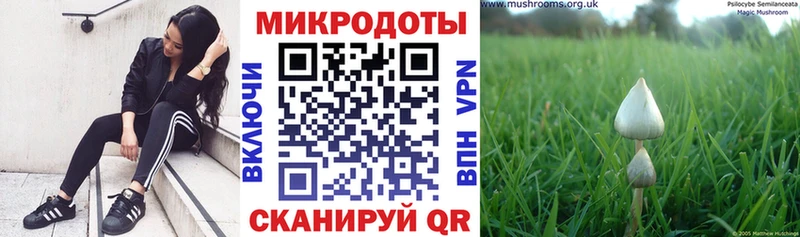 Галлюциногенные грибы ЛСД  Купить где  Тобольск 